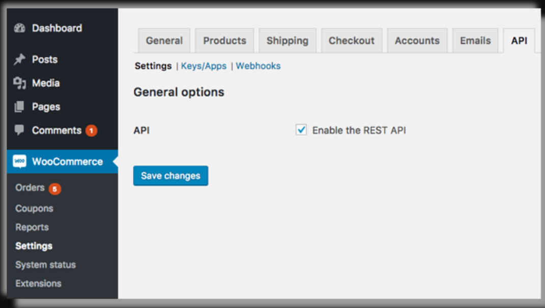 Screenshot showing the API tab in WooCommerce settings